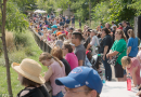A crowd during Seneca Park Zoo’s Elephant Day, which happens in August. Courtesy of Austin Quinlan.