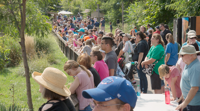 A crowd during Seneca Park Zoo’s Elephant Day, which happens in August. Courtesy of Austin Quinlan.