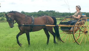 Cheryl Yelle of Mendon enjoys her time practicing with her horse Hillrose Taconic Major.