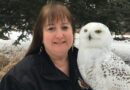 Wild Wings Takes Flight to Care for Injured Animals