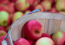 Enjoy Apple Season
